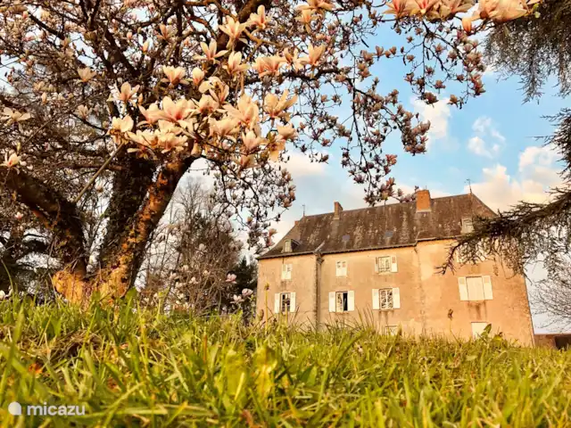 Château de Freyssinet - Jourdaine huren in Frankrijk, Haute-Vienne, Saint-Priest-Ligoure - gîte / cottage Lente op het chateau