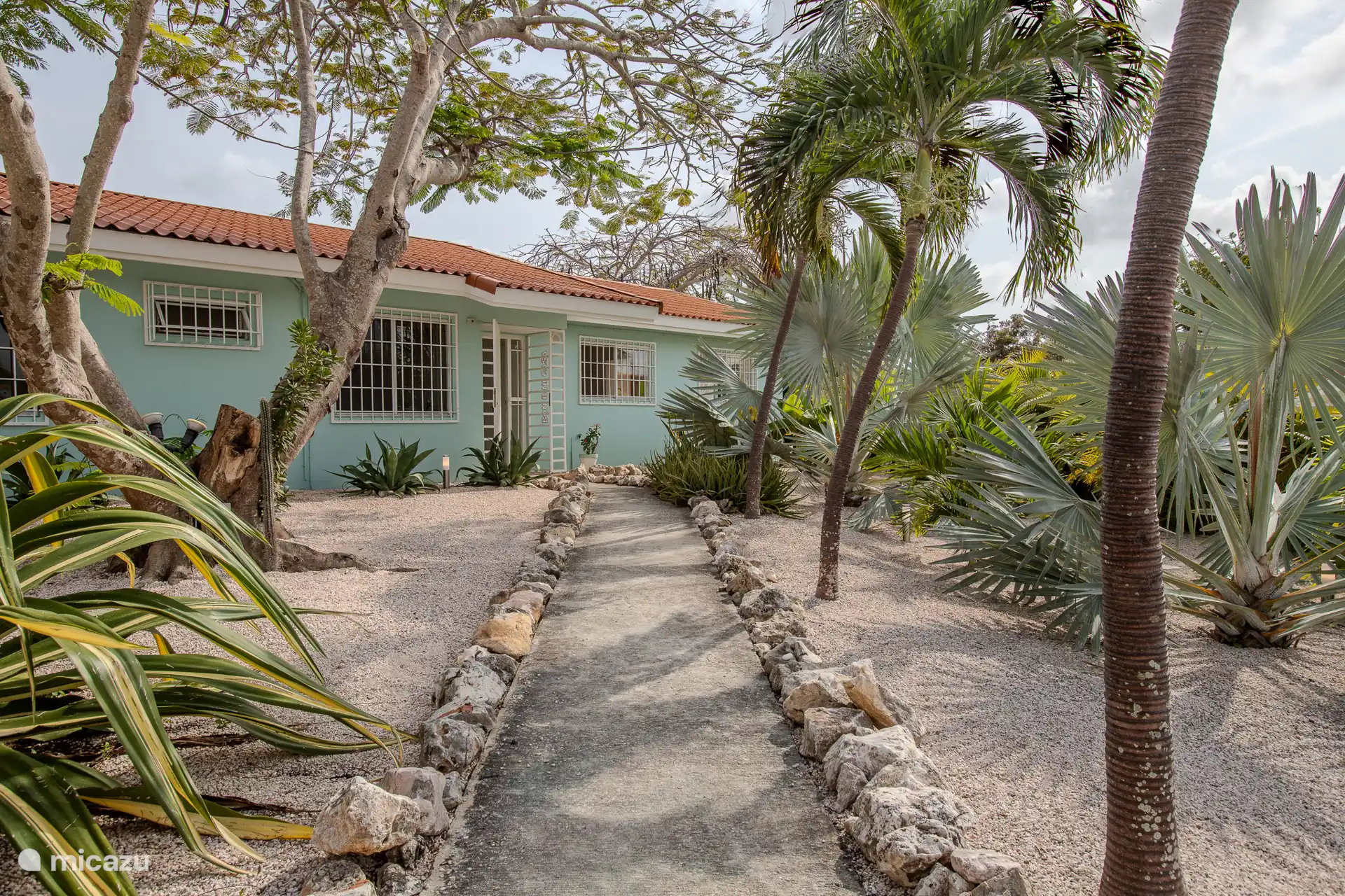 También hay hermosas plantas tropicales en la parte delantera