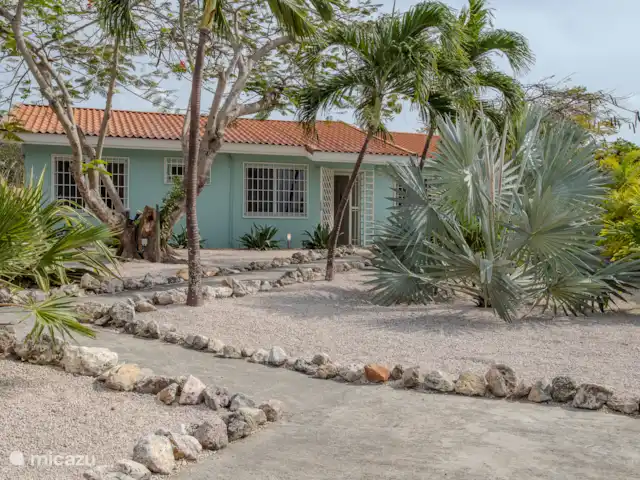 Paradis tropical avec piscine privée | Curaçao, Banda Abou (ouest), Big Mountain - bungalow Devant de la maison avec de belles palmes argentées