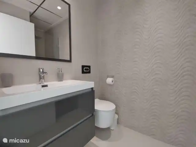 appartement huren in Spanje, Costa Blanca, Torrevieja – Amay 880 nr.29 Torrevieja aparte 2e badkamer.