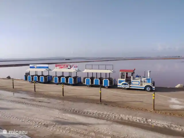 appartement huren in Spanje, Costa Blanca, Torrevieja – Amay 880 nr.29 Torrevieja Treintje voor een leuke rondleiding langs de zoutmeren.