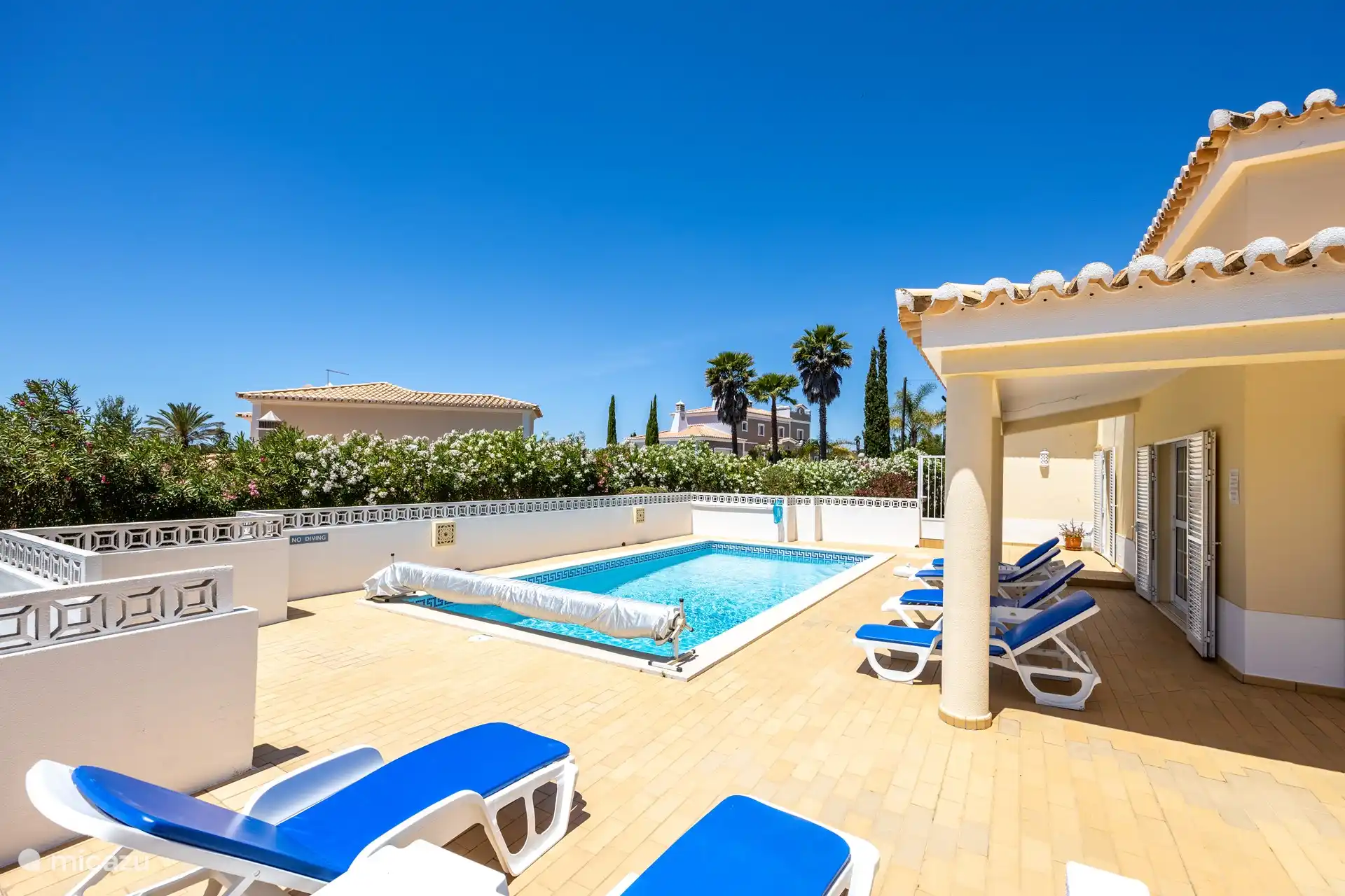 Swimming pool and terrace