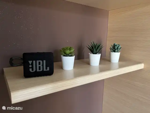 Casa Lago : Luxe et piscine ★★★★★ | Italie, Lacs italiens , Tavernola Bergamasca - appartement Enceinte Bluetooth JBL