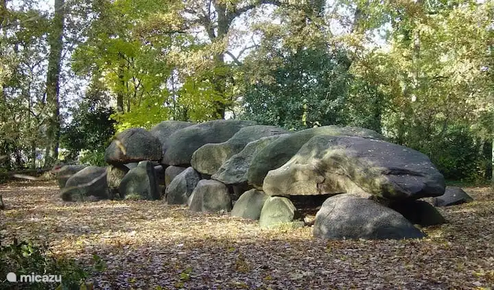 Im nahe gelegenen Hünenbeetzentrum in Borger können Sie den größten Hünenbeet der Niederlande besichtigen. https://www.hunebedcentrum.eu/