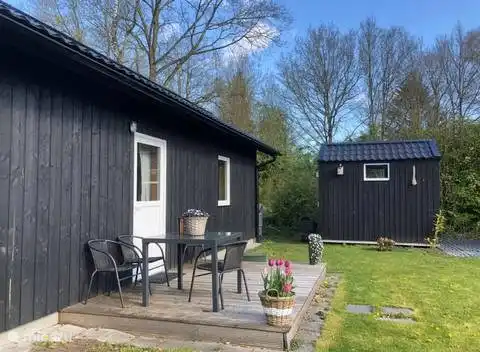 Swedish bungalow in a wooded area in Netherlands, Drenthe, Gasselte - Bungalow