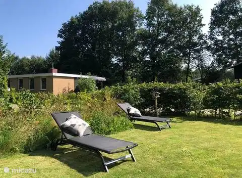 Swedish bungalow in a wooded area in Netherlands, Drenthe, Gasselte - Bungalow