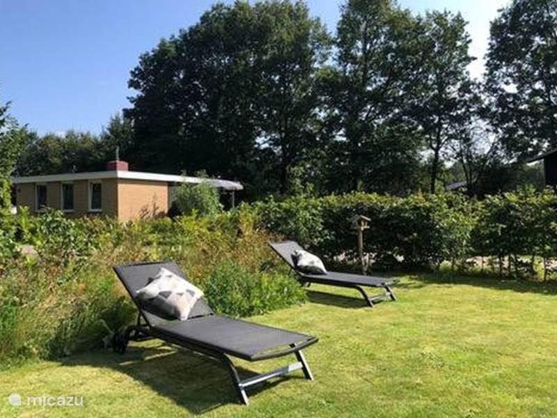 Maison de Vacances Pays-Bas, Drenthe, Gasselte Bungalow Bungalow suédois dans une zone boisée