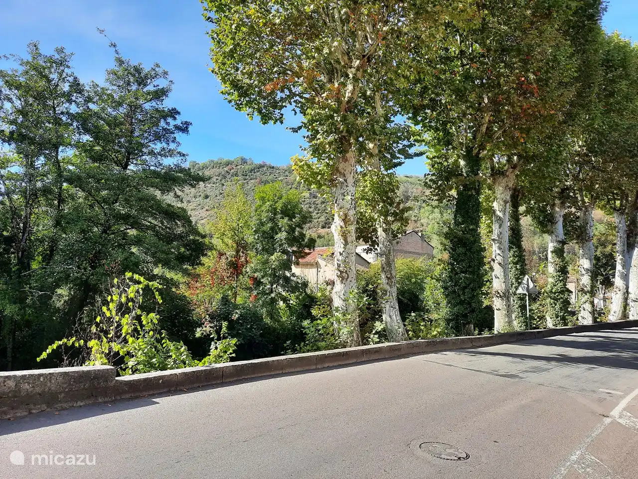 Entrada de San Antonio... con plátanos