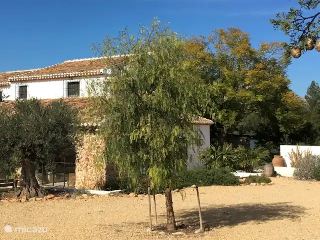 Location de Vacances Espagne, Costa Blanca, Jávea, finca - Finca Valverde Location de Vacances Espagne, Costa Blanca, Jávea, finca - Finca Valverde