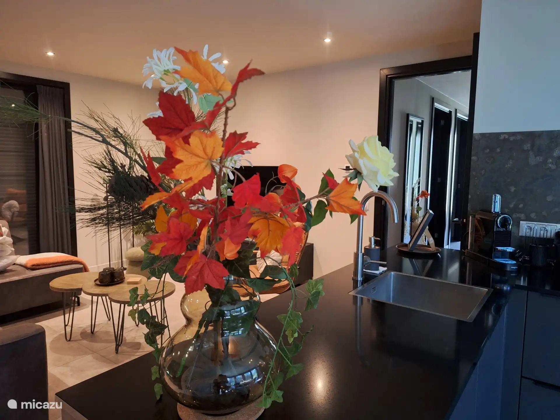 vakantiehuis huren in Overijssel, Nederland – Vakantiehuis Borkerijck