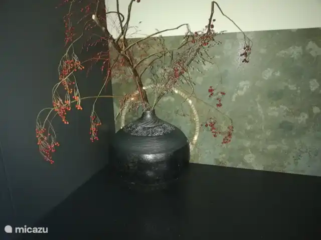 Maison de vacances Borkerijck | Pays-Bas, Overijssel, Holten - maison de vacances Salle de stockage avec beaucoup d'espace de rangement