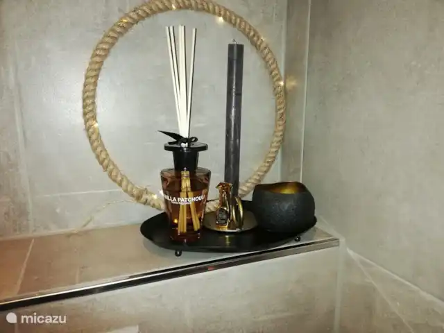 Maison de vacances Borkerijck | Pays-Bas, Overijssel, Holten - maison de vacances Doit être capable de pimper un peu