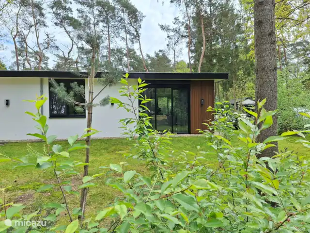 Maison de vacances Borkerijck | Pays-Bas, Overijssel, Holten - maison de vacances