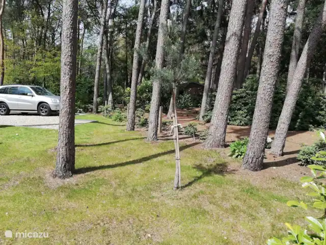 Maison de vacances Borkerijck | Pays-Bas, Overijssel, Holten - maison de vacances l'herbe pousse bien