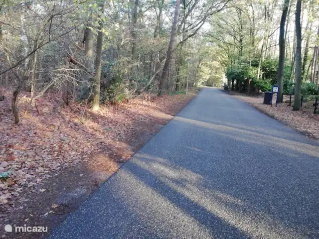 Maison de vacances Borkerijck | Pays-Bas, Overijssel, Holten - maison de vacances Route postale