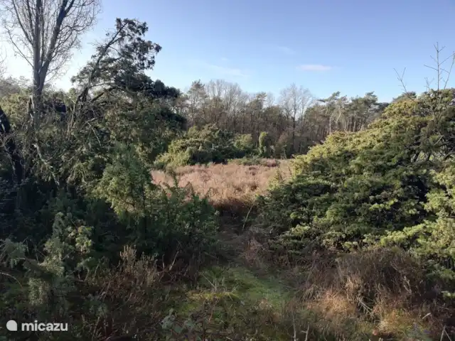 Maison de vacances Borkerijck | Pays-Bas, Overijssel, Holten - maison de vacances Le bouillonné