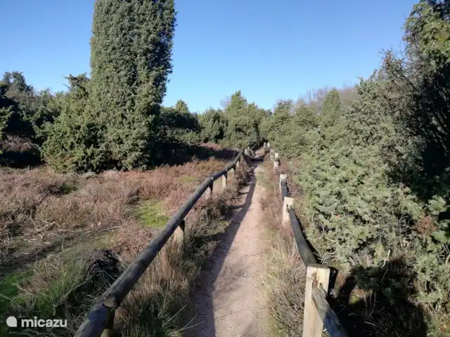 Maison de vacances Borkerijck | Pays-Bas, Overijssel, Holten - maison de vacances L'un des nombreux endroits magnifiques de la région.