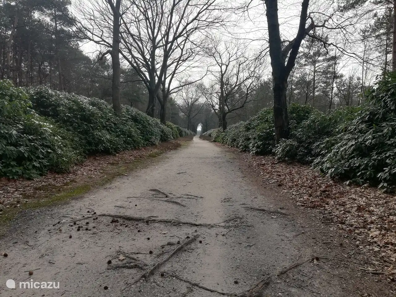 Der Sprenberg, so schön!