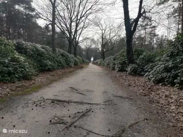 Maison de vacances Borkerijck | Pays-Bas, Overijssel, Holten - maison de vacances Le Sprenberg, si beau !