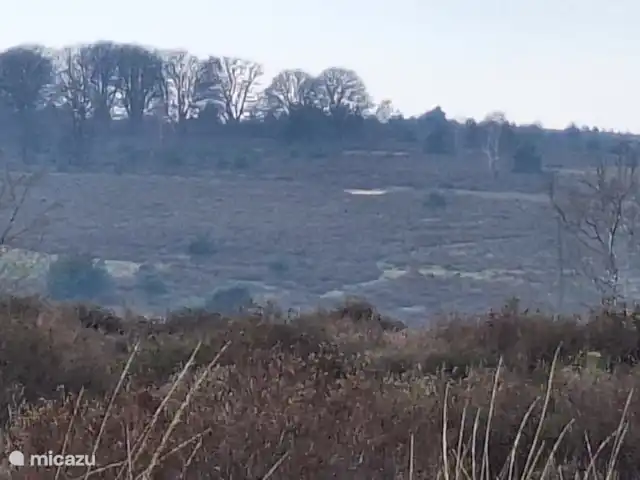 Maison de vacances Borkerijck | Pays-Bas, Overijssel, Holten - maison de vacances Le Holterberg