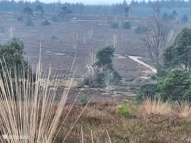 Maison de vacances Borkerijck | Pays-Bas, Overijssel, Holten - maison de vacances Le Holterberg