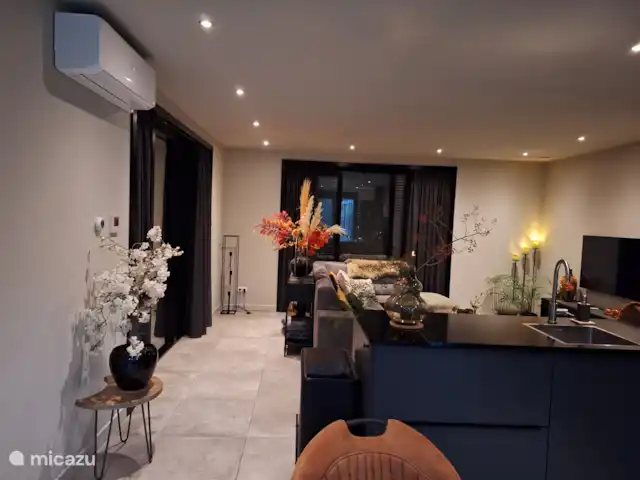 Maison de vacances Borkerijck | Pays-Bas, Overijssel, Holten - maison de vacances