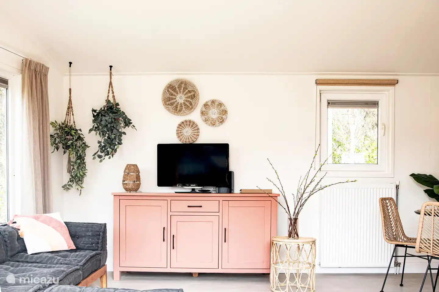 Schön so viel Grün, zum Glück müssen Sie diese Pflanzen nicht gießen!