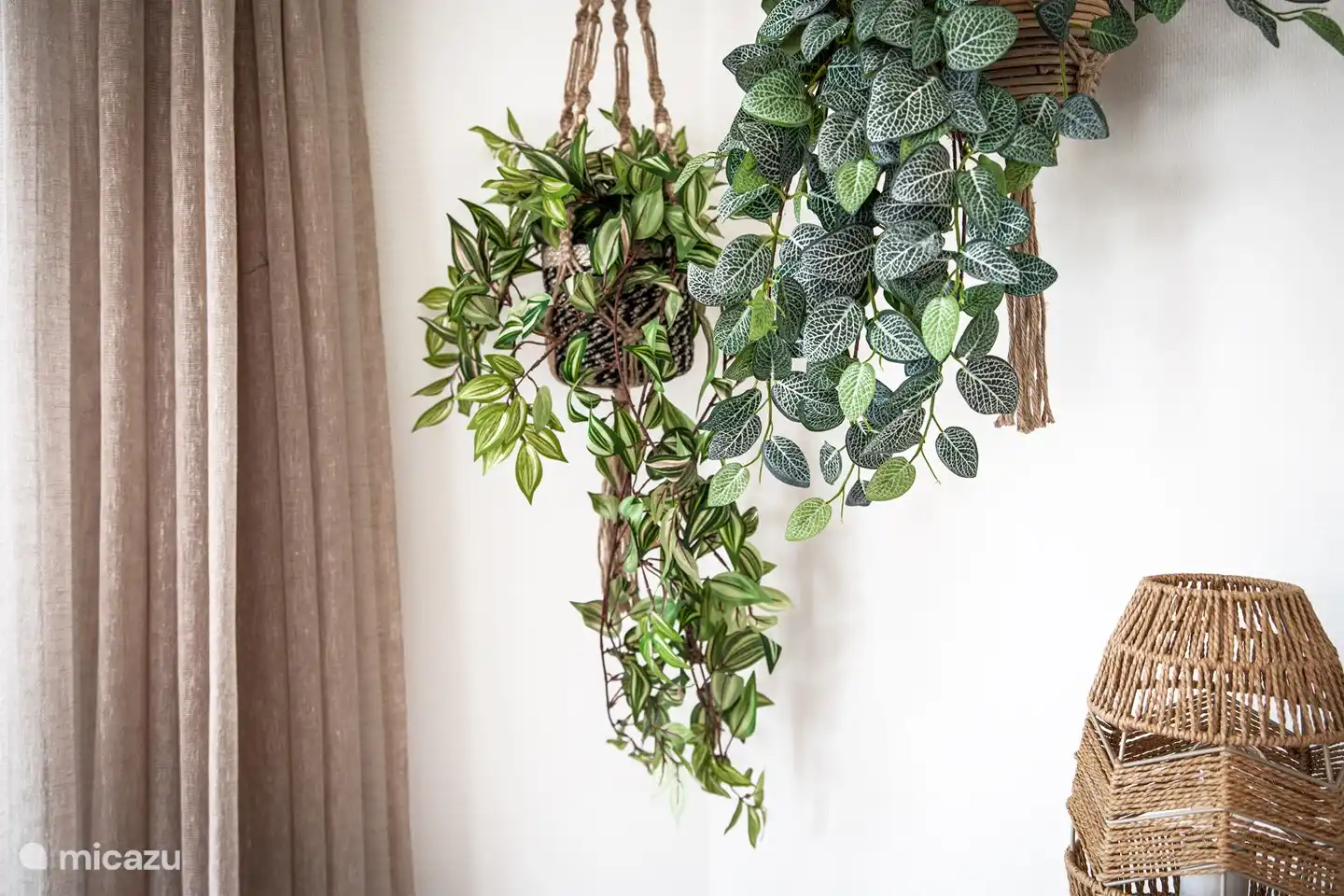 Glücklicherweise müssen Sie es nicht gießen!