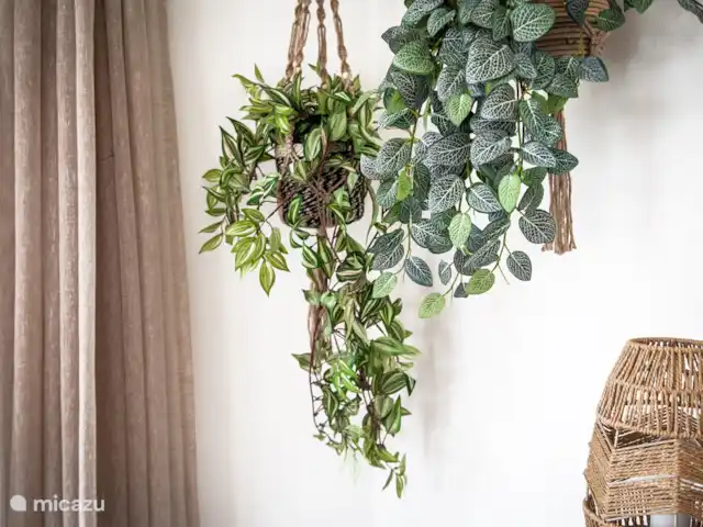 tiny house huren in Nederland, Gelderland, Epe – StayatSas Tiny House Sam op Veluwe! Gelukkig hoef je deze geen water te geven!