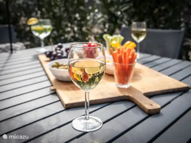 tiny house huren in Nederland, Gelderland, Epe – StayatSas Tiny House Sam op Veluwe! Borreltje buiten in het zonnetje!