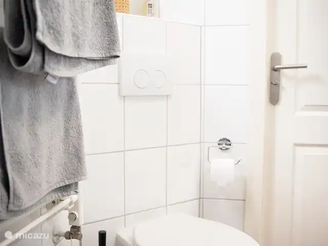 tiny house huren in Nederland, Gelderland, Epe – StayatSas Tiny House Sam op Veluwe! De badkamer