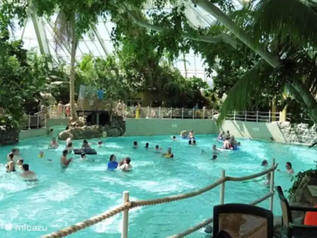 tiny house huren in Nederland, Gelderland, Epe – StayatSas Tiny House Sam op Veluwe! Leuk om het waterpark Aqua Mundo te bezoeken in Zeewolde