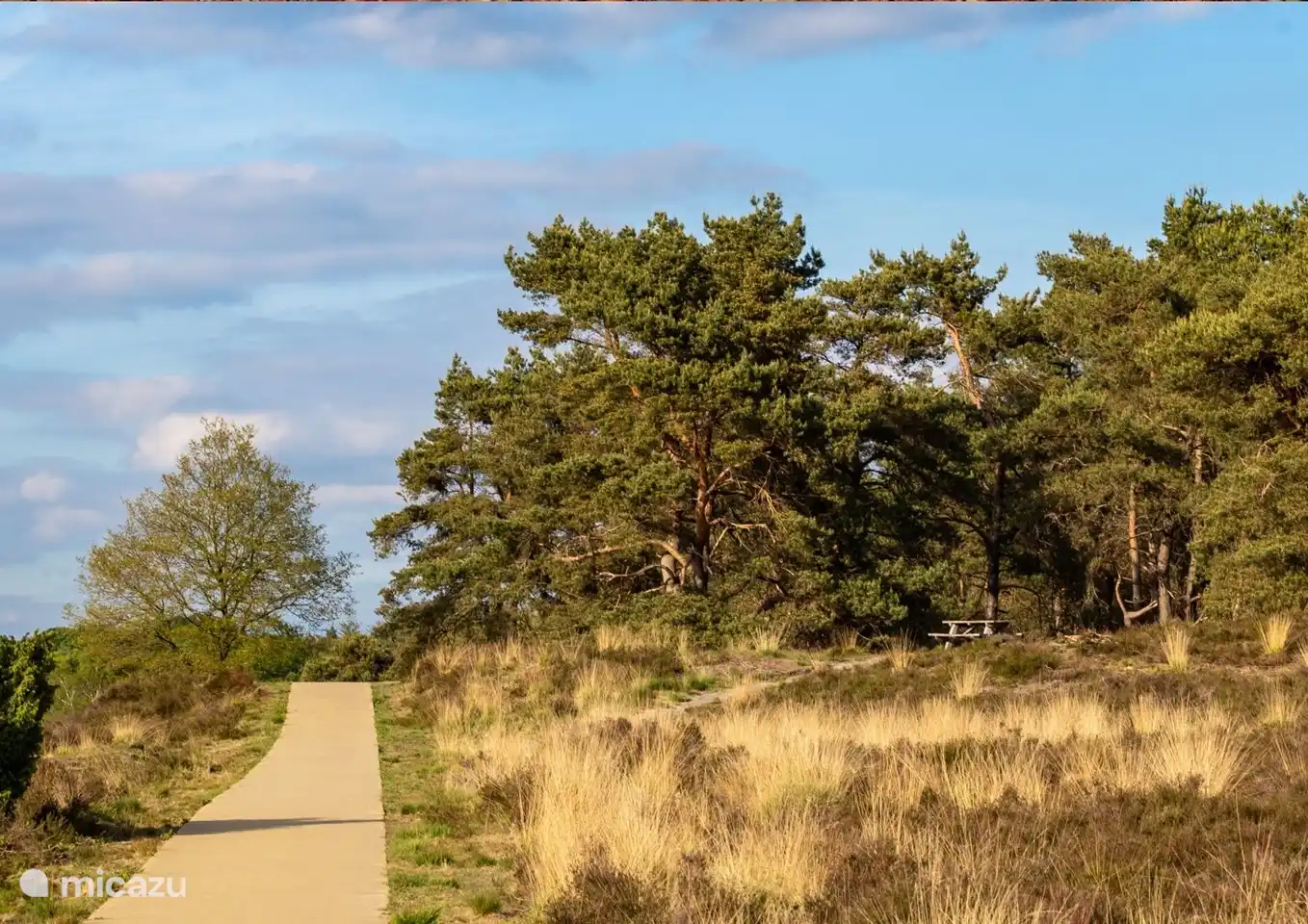 Es gibt viele schöne Rad- und Wanderwege, um die Wälder und die Veluwe zu erkunden!
