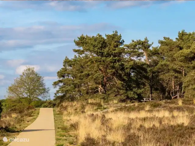 tiny house huren in Nederland, Gelderland, Epe – StayatSas Tiny House Sam op Veluwe! Er zijn enorm veel mooie fiets-en wandelroutes om de bossen en de Veluwe te verkennen!