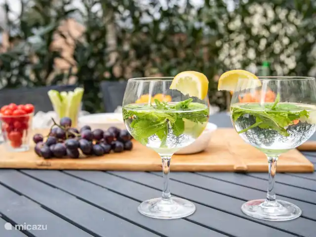 tiny house huren in Nederland, Gelderland, Epe – StayatSas Tiny House Sam op Veluwe! Heerlijk borrelen of eten buiten aan de ruime eettafel met 6 stoelen