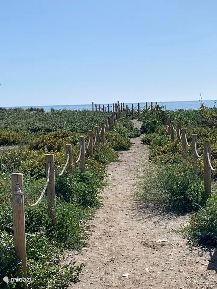 Dünengebiet mit wunderschönem Strand