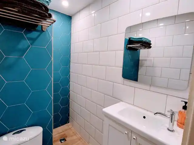 appartement huren in Aruba, Noord, Tanki Leendert – Casita Tortuga In de prachtig gerenoveerde badkamer kan u genieten van een verfrissende douche