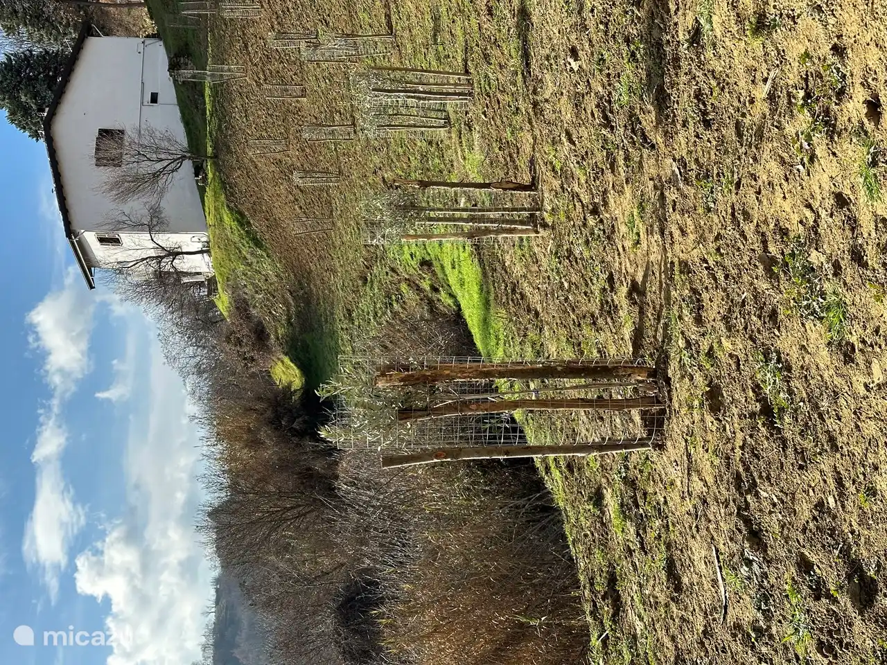 Der Oliven-Mandel-Obstgarten.