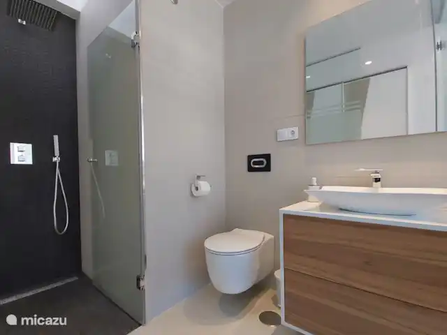 Amay 880 No.30 Torrevieja en España, Costa Blanca, Torrevieja - apartamento baño del dormitorio 1