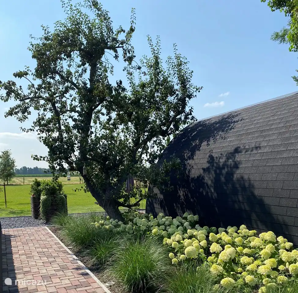 Die Grenze zwischen den beiden Schoten. Mit dem alten gedünsteten Birnbaum der Ruhm von Altena