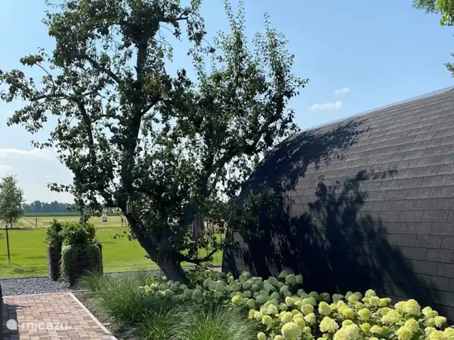 Location de Vacances Pays-Bas, Brabant-Septentrional, Alternate, chambres d'hôtes - B&B de Roem van Altena pod 1 La frontière entre les deux gousses. Avec le vieux poirier de cuisine de Roem van Altena