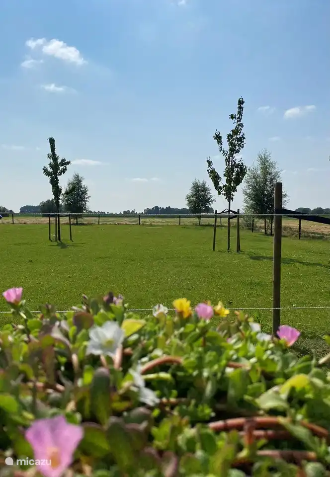 Schöne Aussicht von der Kapsel.