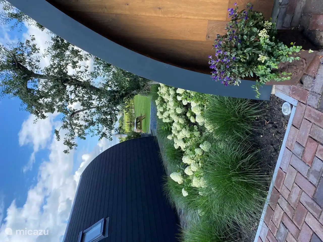 Die Grenze steht in wunderschöner Blüte.