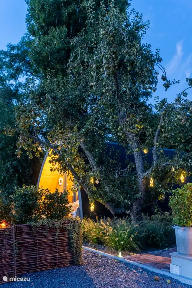 Der schöne alte Obstbaum „der Ruhm von Altena“