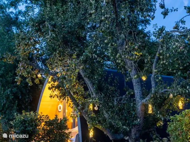 Location de Vacances Pays-Bas, Brabant-Septentrional, Alternate, chambres d'hôtes - B&B de Roem van Altena pod 2 Le bel arbre fruitier ancien de Roem van Altena