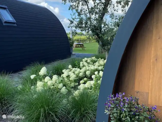 Location de Vacances Pays-Bas, Brabant-Septentrional, Alternate, chambres d'hôtes - B&B de Roem van Altena pod 2 La bordure fleurie avec le vieux poirier à cuire de Roem van Altena