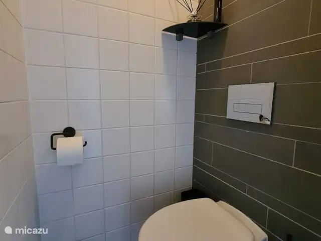 Ambiente y desmontaje en el parque de vacaciones en Países Bajos, Overijssel, Gramsbergen - casa vacacional El inodoro