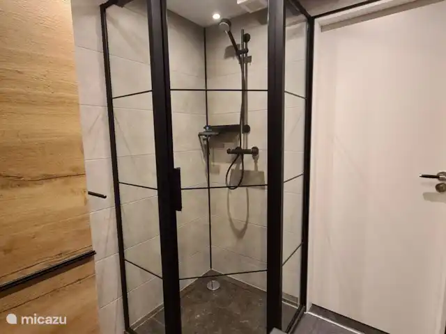 Ambiente y desmontaje en el parque de vacaciones en Países Bajos, Overijssel, Gramsbergen - casa vacacional la cabina de ducha