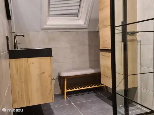 Ambiente y desmontaje en el parque de vacaciones en Países Bajos, Overijssel, Gramsbergen - casa vacacional El baño fue renovado en 2022.