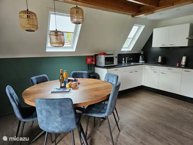 Ambiente y desmontaje en el parque de vacaciones en Países Bajos, Overijssel, Gramsbergen - casa vacacional La cocina, equipada con combinado de microondas, placa de inducción, campana extractora, frigorífico con congelador, cafetera, Senseo, hervidor, tostadora, utensilios de cocina, vajilla, etc.